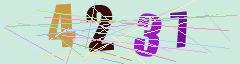 CAPTCHA validation image