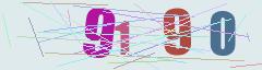 CAPTCHA validation image