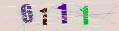 CAPTCHA validation image