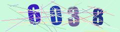 CAPTCHA validation image