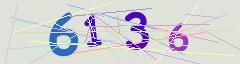 CAPTCHA validation image
