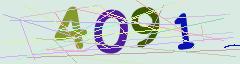 CAPTCHA validation image