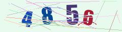 CAPTCHA validation image
