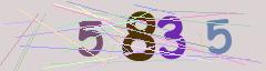 CAPTCHA validation image