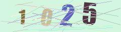 CAPTCHA validation image