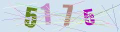 CAPTCHA validation image