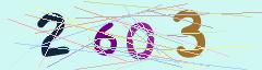 CAPTCHA validation image