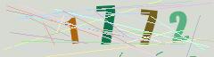 CAPTCHA validation image