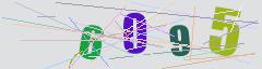 CAPTCHA validation image
