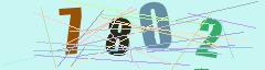 CAPTCHA validation image