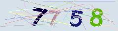 CAPTCHA validation image
