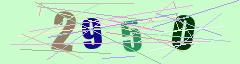 CAPTCHA validation image