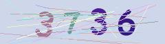 CAPTCHA validation image