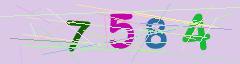 CAPTCHA validation image