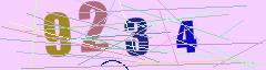 CAPTCHA validation image
