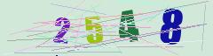 CAPTCHA validation image