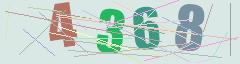 CAPTCHA validation image