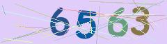 CAPTCHA validation image