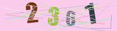 CAPTCHA validation image