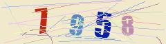 CAPTCHA validation image