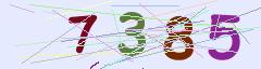 CAPTCHA validation image
