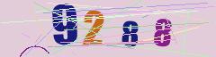 CAPTCHA validation image
