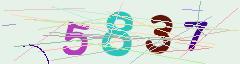 CAPTCHA validation image