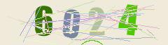 CAPTCHA validation image