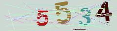 CAPTCHA validation image