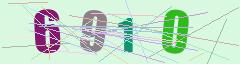 CAPTCHA validation image