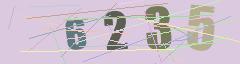 CAPTCHA validation image