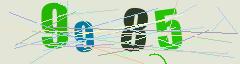 CAPTCHA validation image