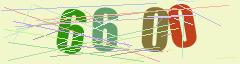 CAPTCHA validation image