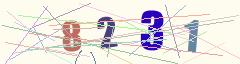 CAPTCHA validation image