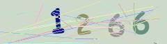 CAPTCHA validation image