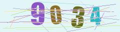 CAPTCHA validation image