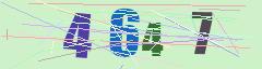CAPTCHA validation image