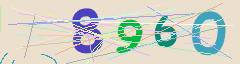 CAPTCHA validation image