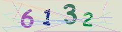 CAPTCHA validation image