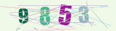 CAPTCHA validation image