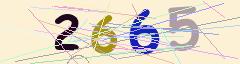 CAPTCHA validation image