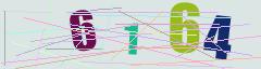 CAPTCHA validation image