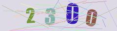 CAPTCHA validation image