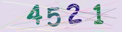 CAPTCHA validation image