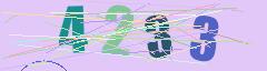 CAPTCHA validation image