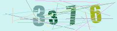 CAPTCHA validation image