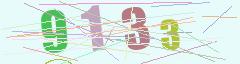 CAPTCHA validation image
