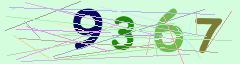 CAPTCHA validation image