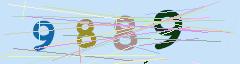 CAPTCHA validation image