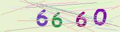 CAPTCHA validation image